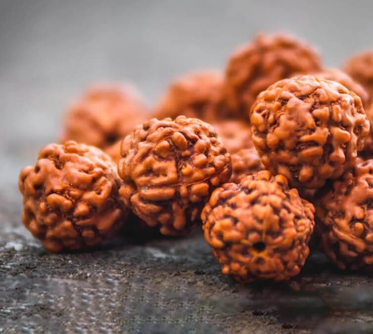 Japa Mala de Rudraksha - Imagen 2
